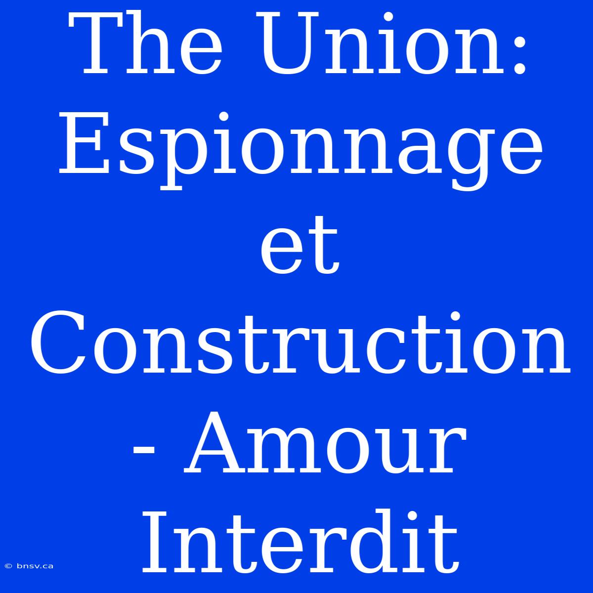 The Union: Espionnage Et Construction - Amour Interdit