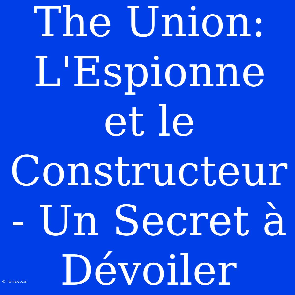 The Union: L'Espionne Et Le Constructeur - Un Secret À Dévoiler