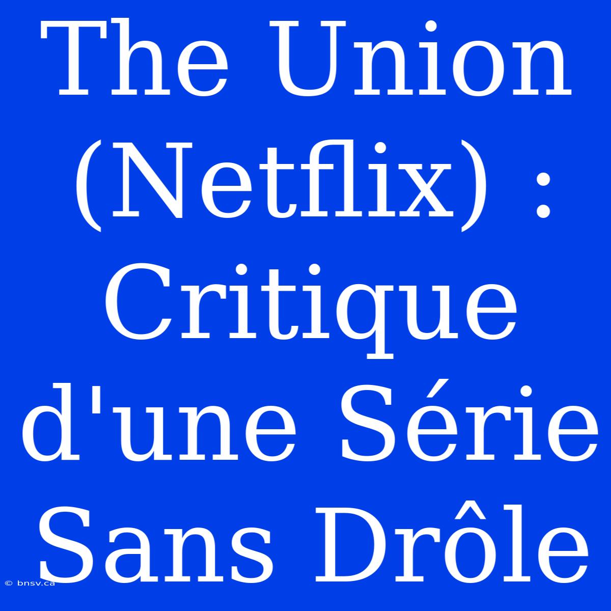 The Union (Netflix) : Critique D'une Série Sans Drôle