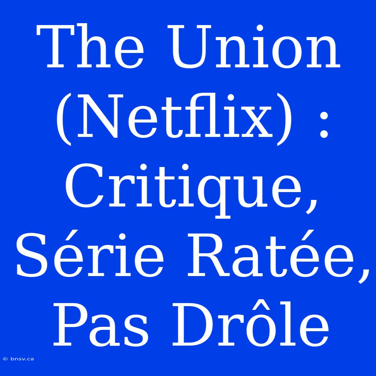 The Union (Netflix) : Critique, Série Ratée, Pas Drôle