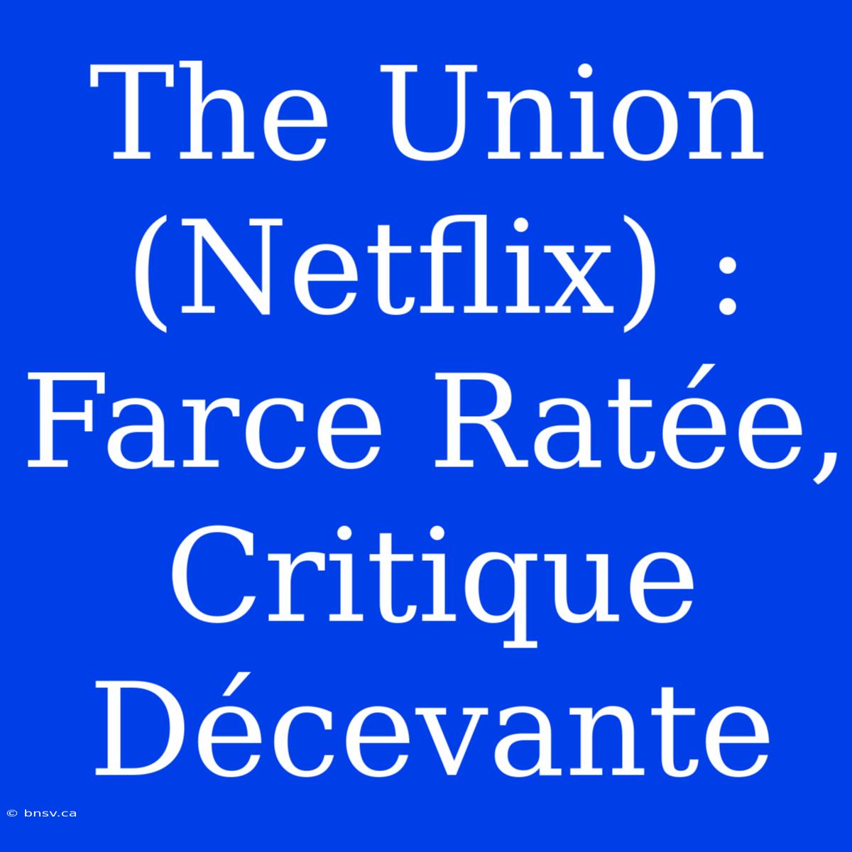 The Union (Netflix) : Farce Ratée, Critique Décevante