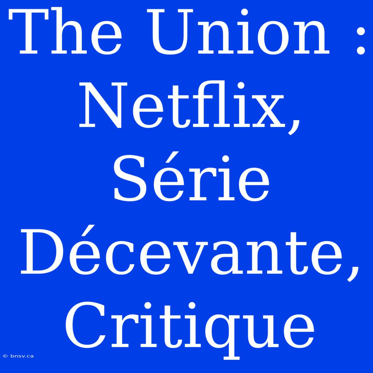 The Union : Netflix, Série Décevante, Critique