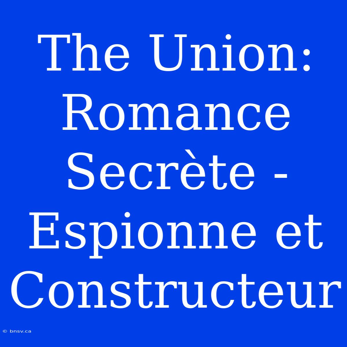 The Union: Romance Secrète - Espionne Et Constructeur