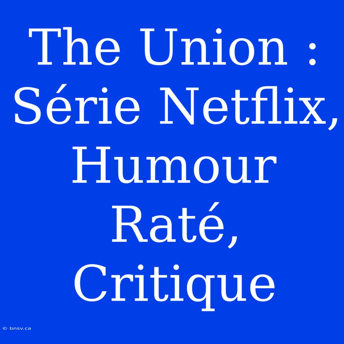 The Union : Série Netflix, Humour Raté, Critique