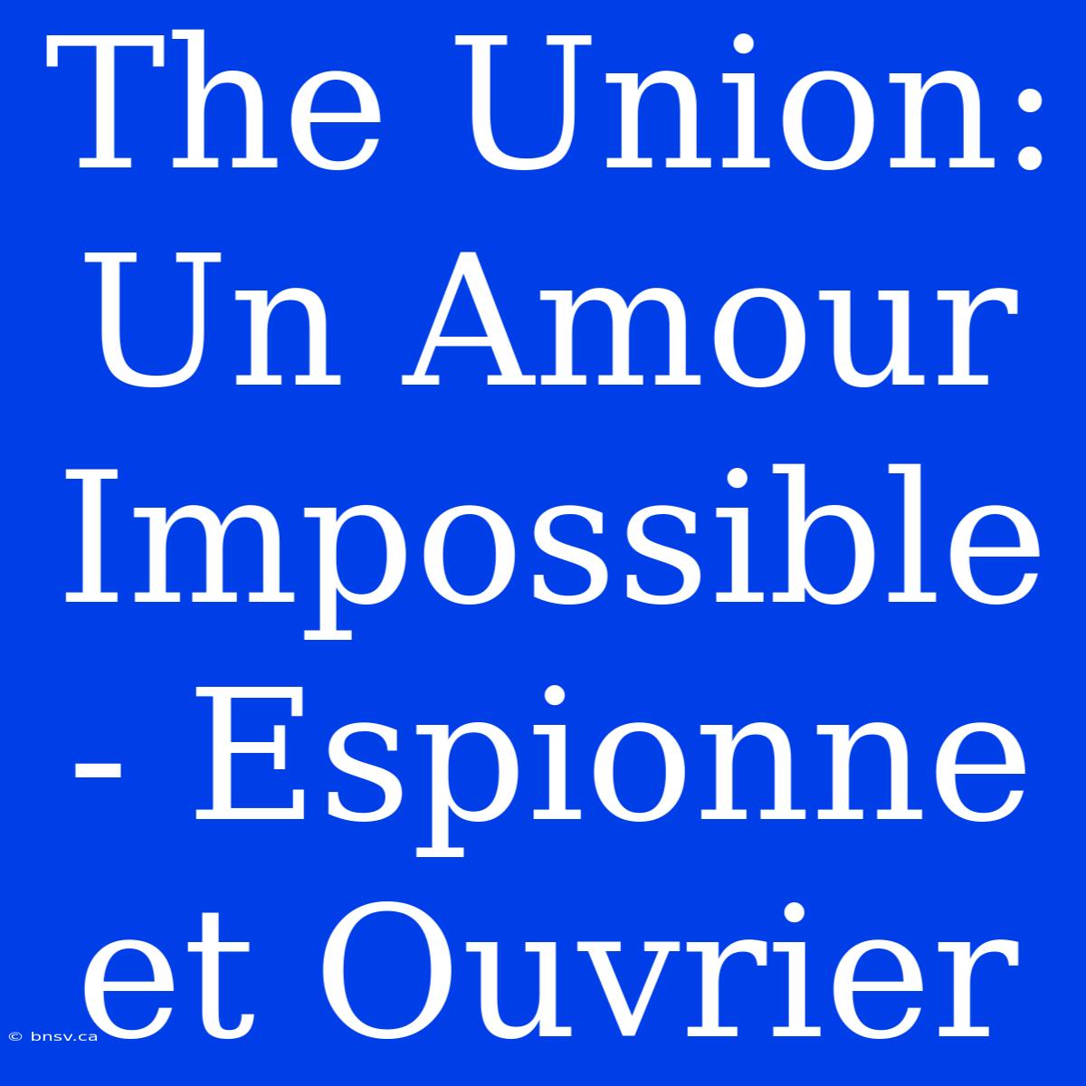 The Union: Un Amour Impossible - Espionne Et Ouvrier