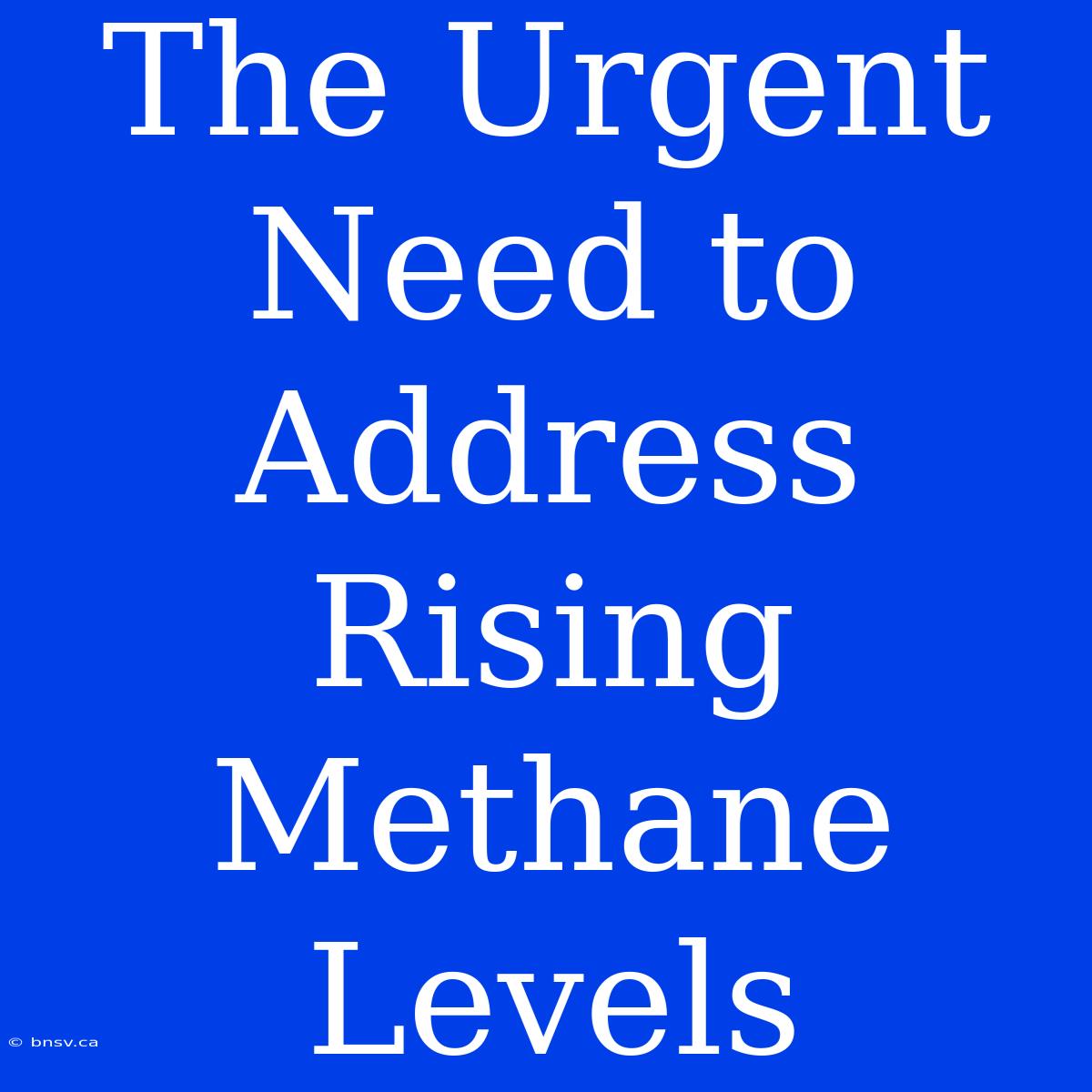 The Urgent Need To Address Rising Methane Levels