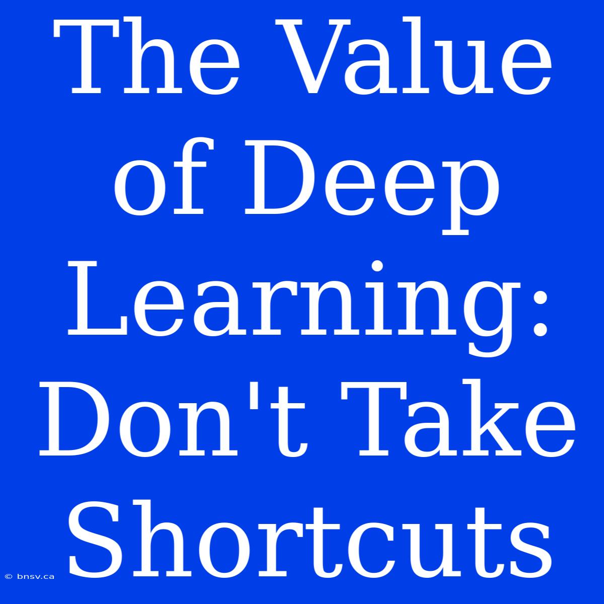 The Value Of Deep Learning: Don't Take Shortcuts