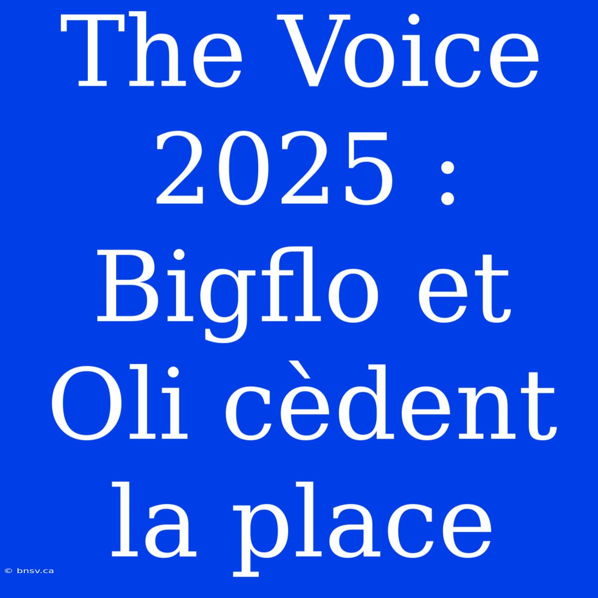 The Voice 2025 : Bigflo Et Oli Cèdent La Place