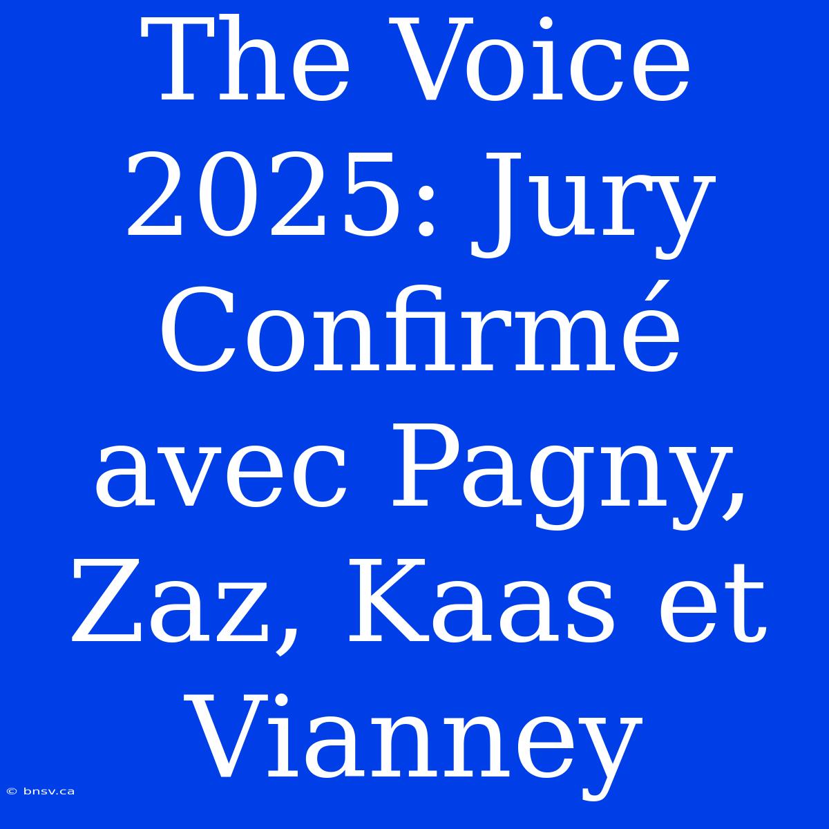 The Voice 2025: Jury Confirmé Avec Pagny, Zaz, Kaas Et Vianney