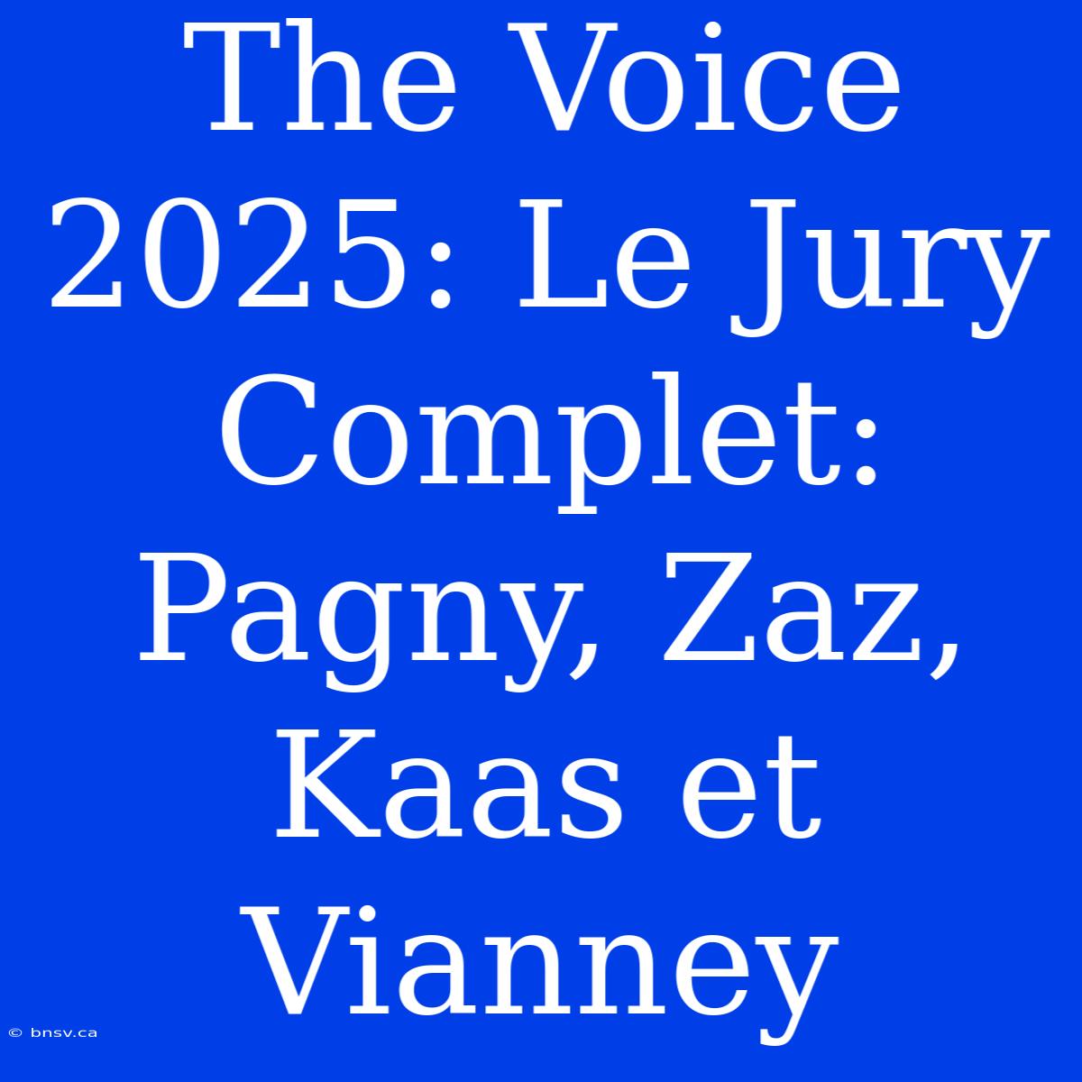 The Voice 2025: Le Jury Complet: Pagny, Zaz, Kaas Et Vianney