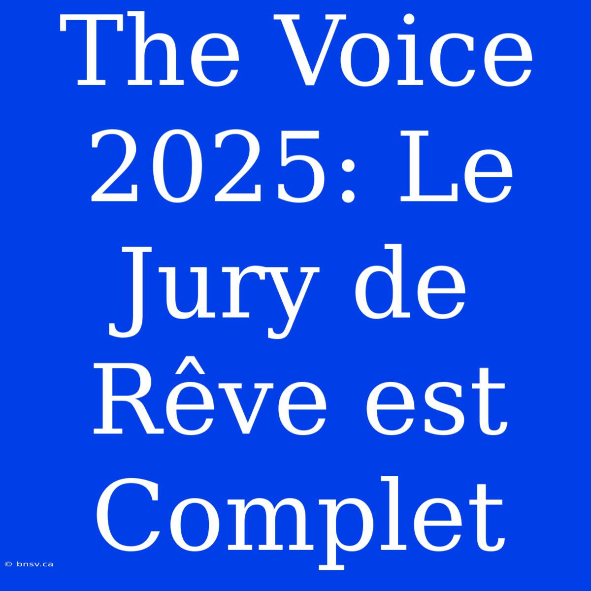 The Voice 2025: Le Jury De Rêve Est Complet