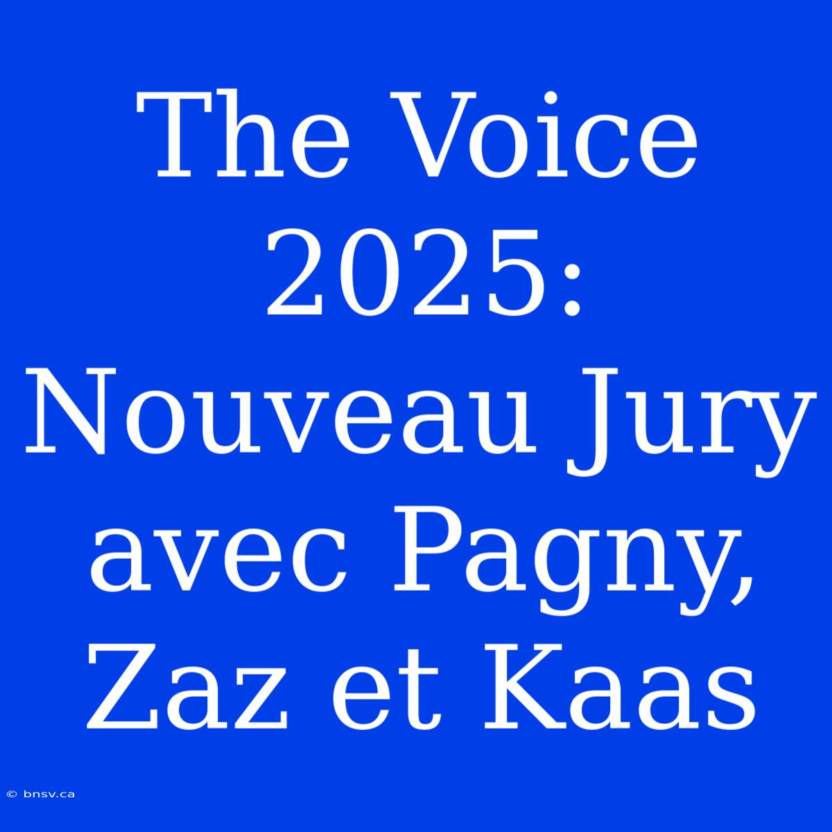 The Voice 2025: Nouveau Jury Avec Pagny, Zaz Et Kaas