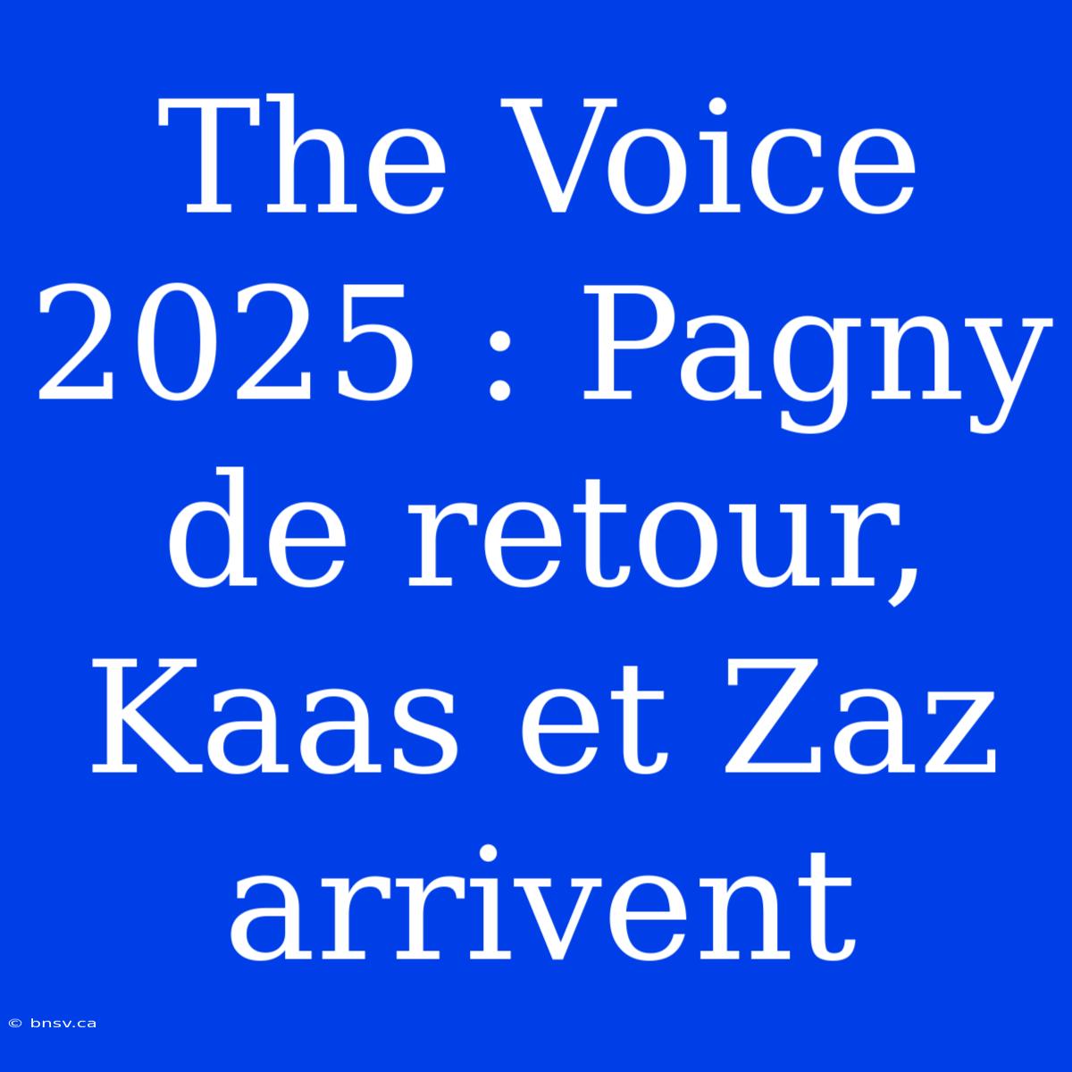 The Voice 2025 : Pagny De Retour, Kaas Et Zaz Arrivent