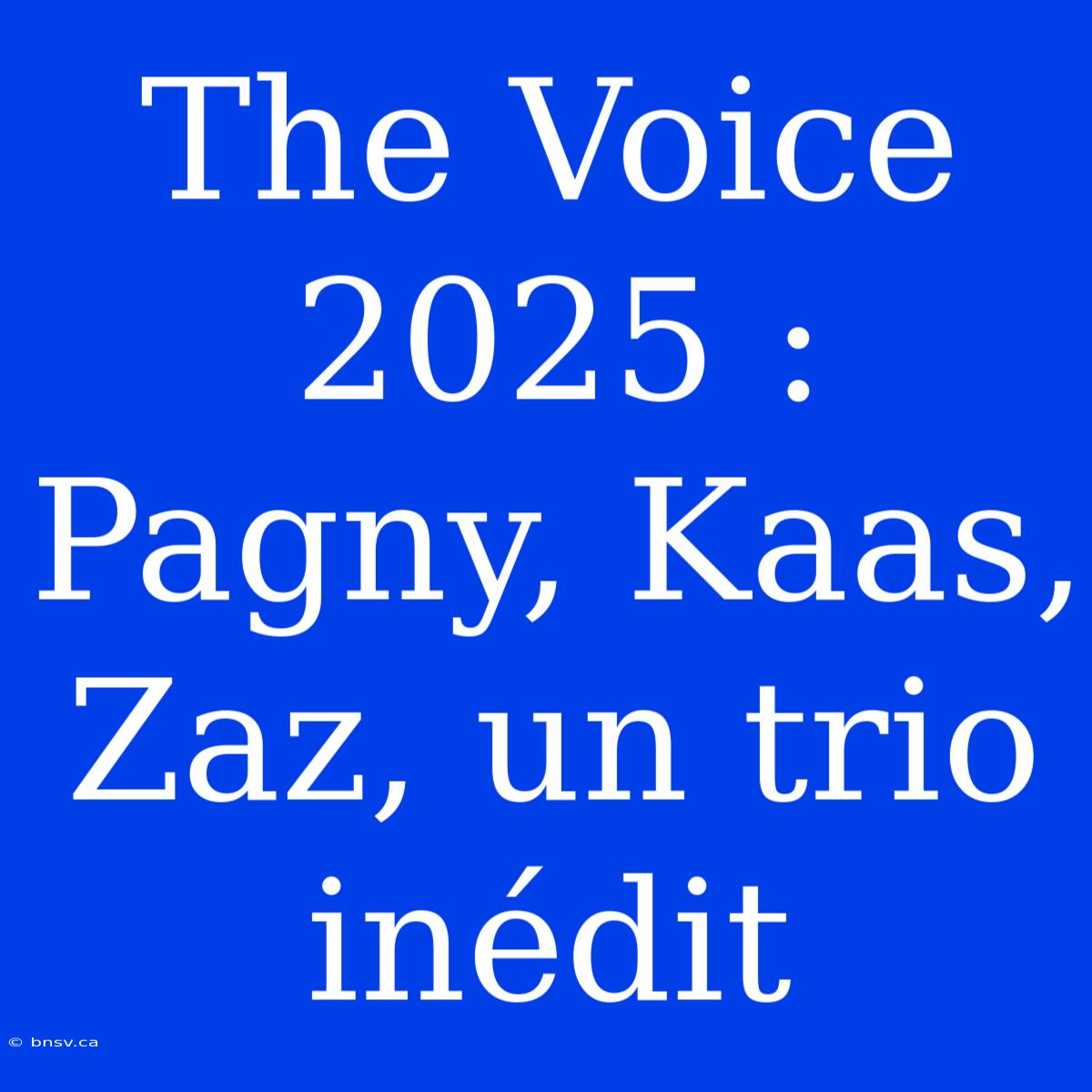 The Voice 2025 : Pagny, Kaas, Zaz, Un Trio Inédit