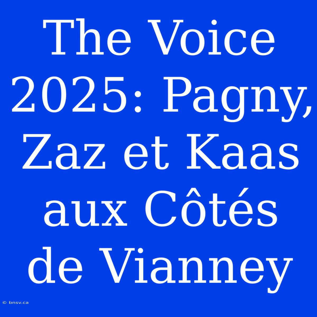 The Voice 2025: Pagny, Zaz Et Kaas Aux Côtés De Vianney