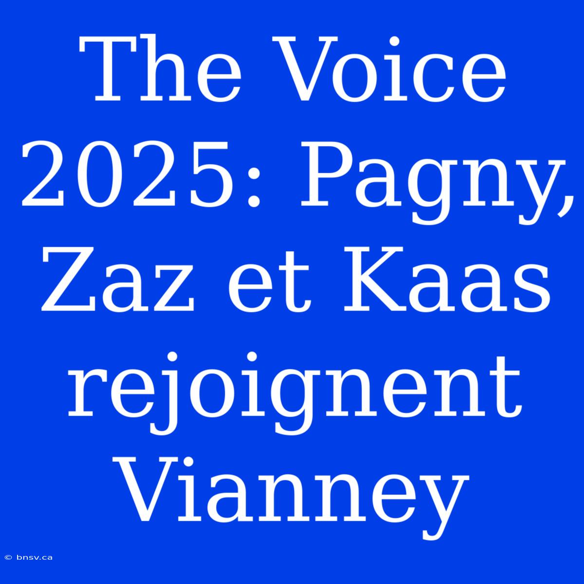 The Voice 2025: Pagny, Zaz Et Kaas Rejoignent Vianney