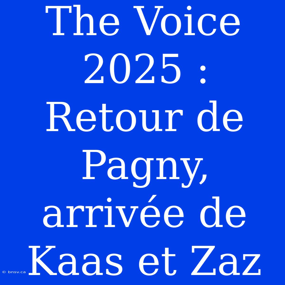 The Voice 2025 : Retour De Pagny, Arrivée De Kaas Et Zaz