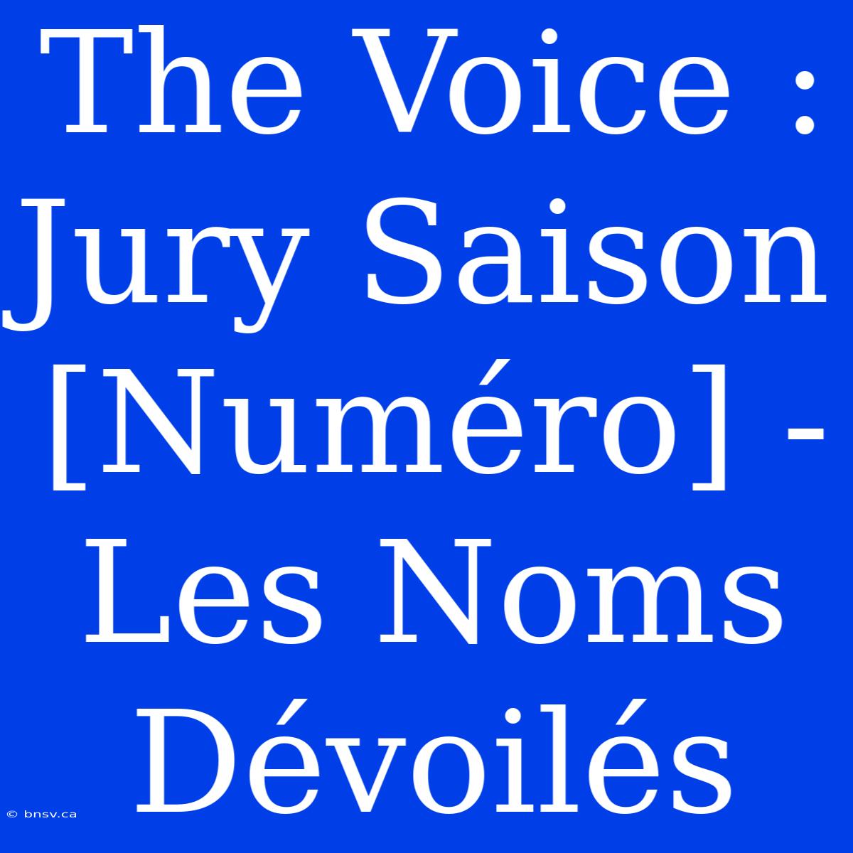 The Voice : Jury Saison [Numéro] - Les Noms Dévoilés