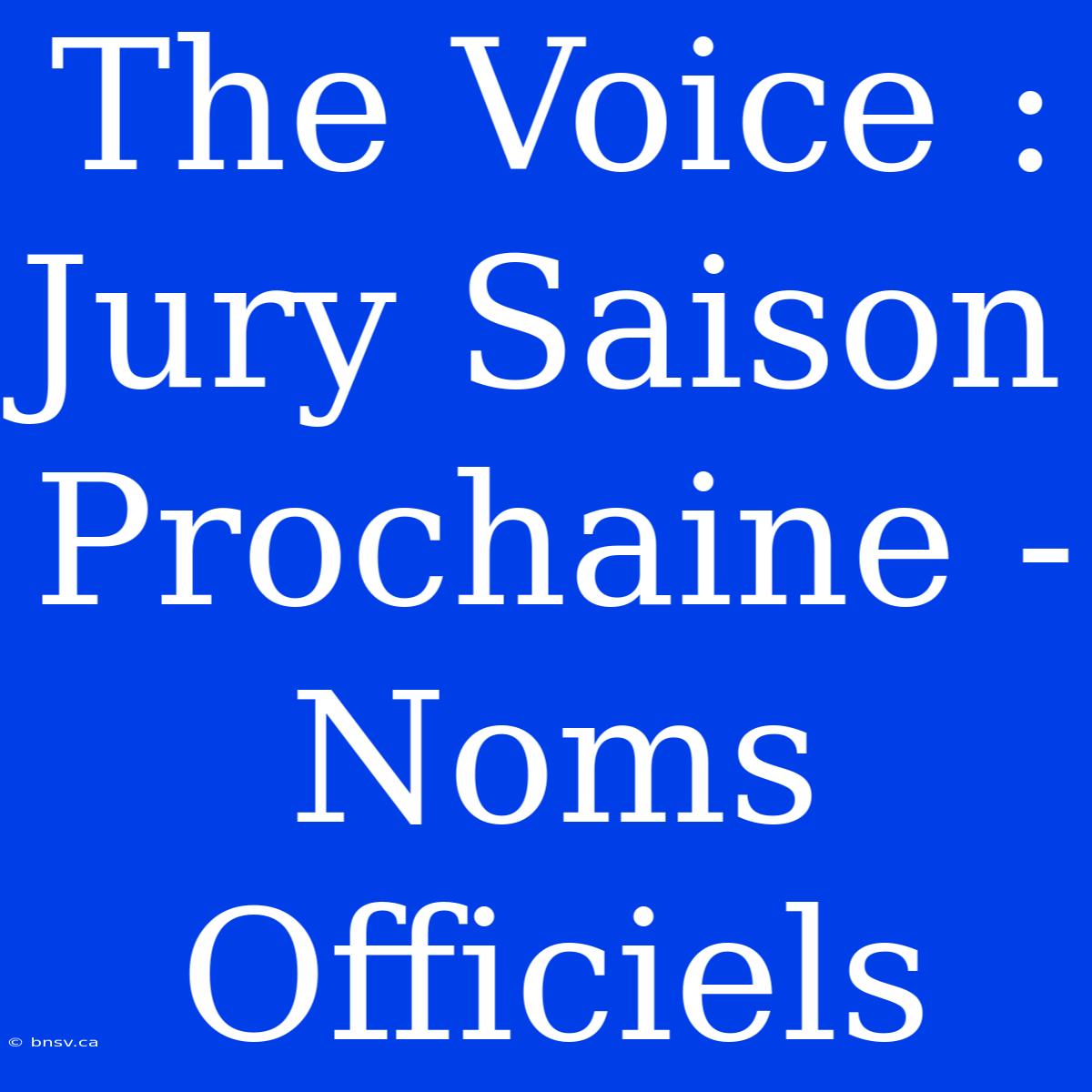 The Voice : Jury Saison Prochaine - Noms Officiels