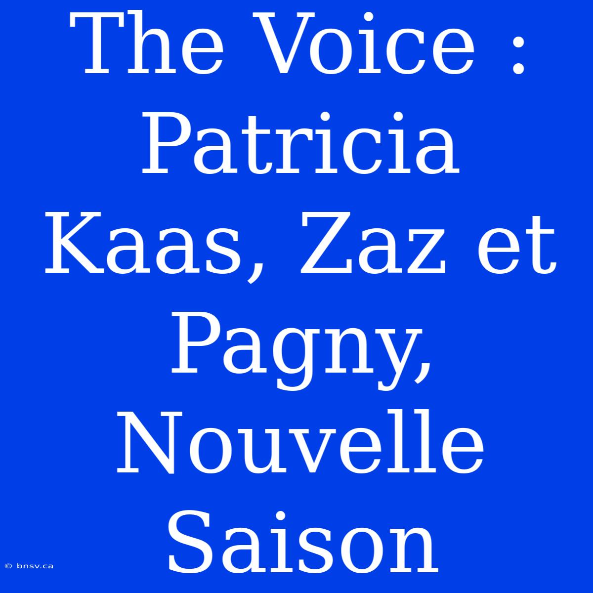 The Voice : Patricia Kaas, Zaz Et Pagny, Nouvelle Saison