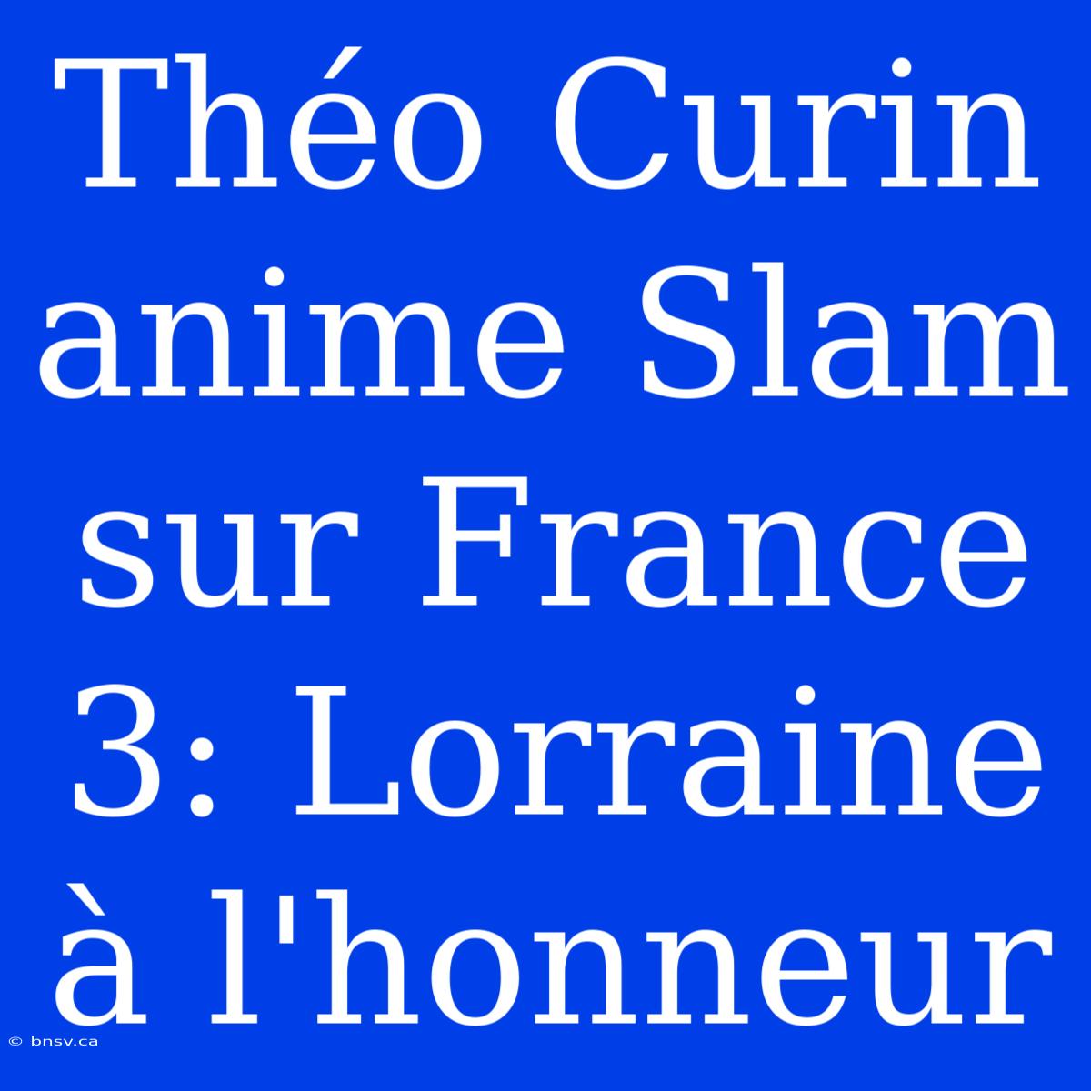 Théo Curin Anime Slam Sur France 3: Lorraine À L'honneur