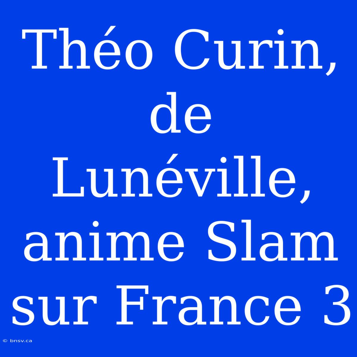 Théo Curin, De Lunéville, Anime Slam Sur France 3