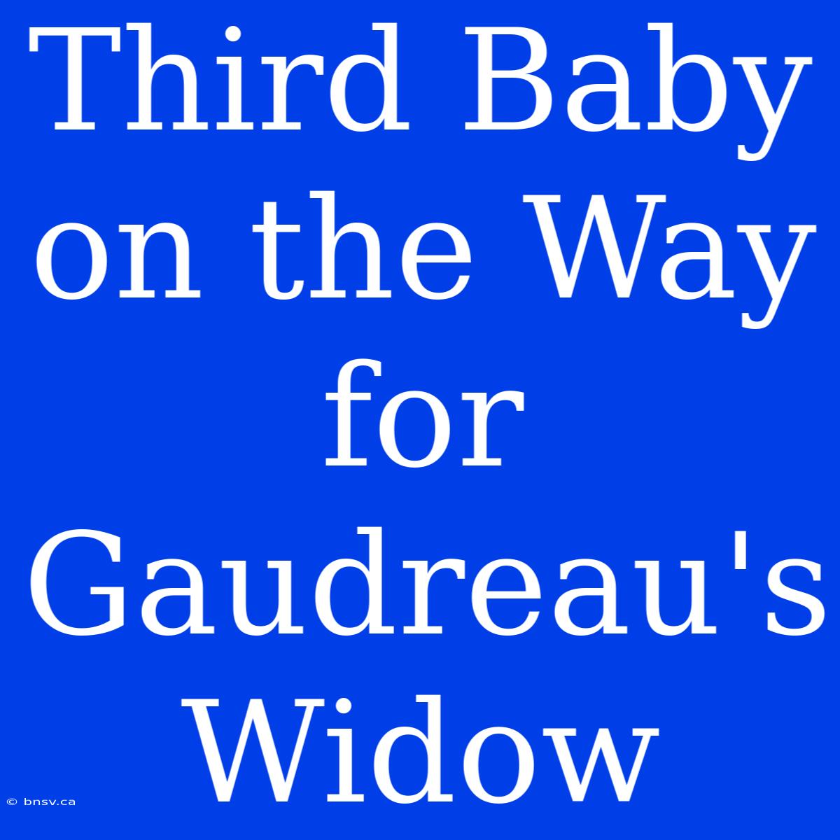 Third Baby On The Way For Gaudreau's Widow