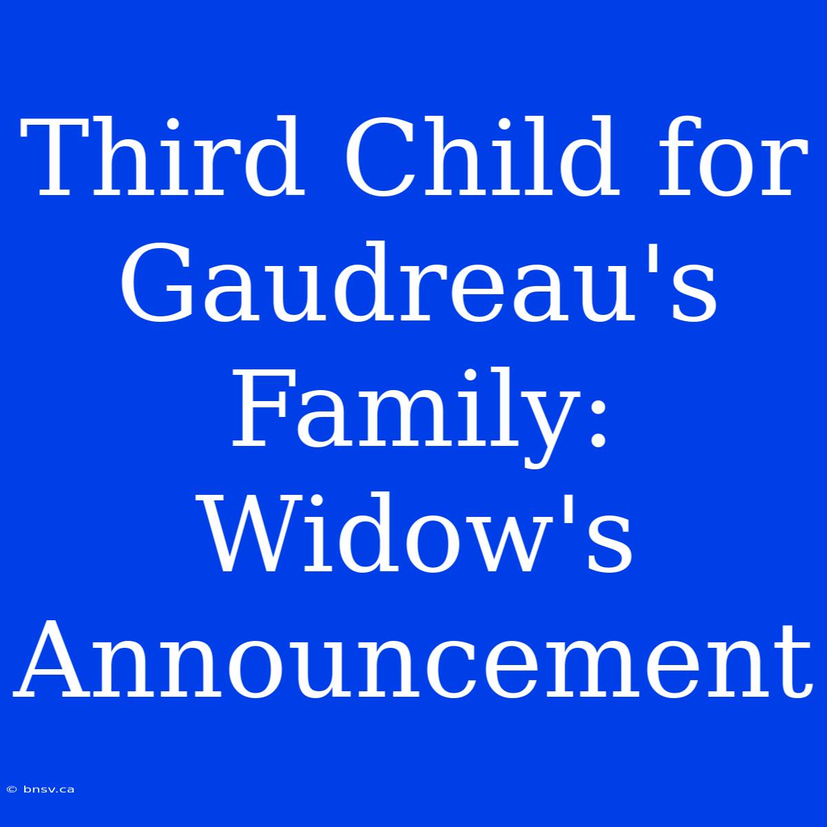 Third Child For Gaudreau's Family: Widow's Announcement