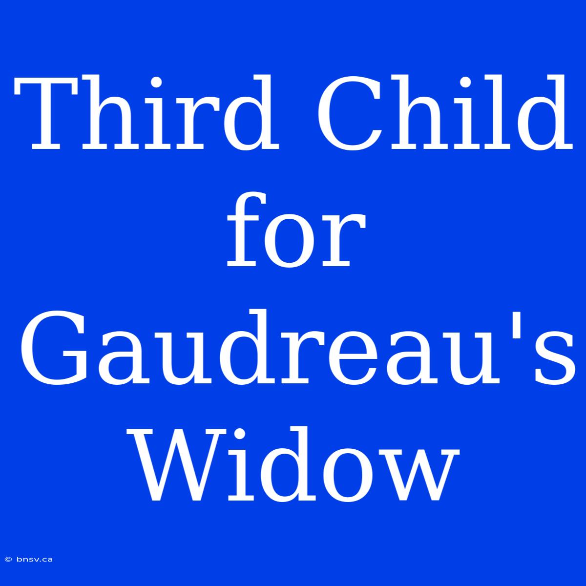 Third Child For Gaudreau's Widow