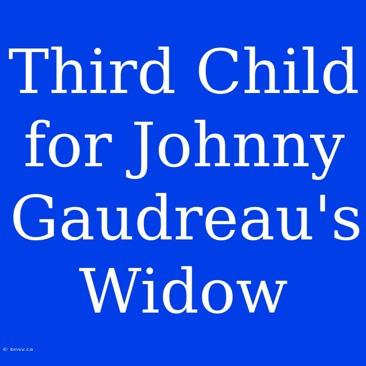 Third Child For Johnny Gaudreau's Widow