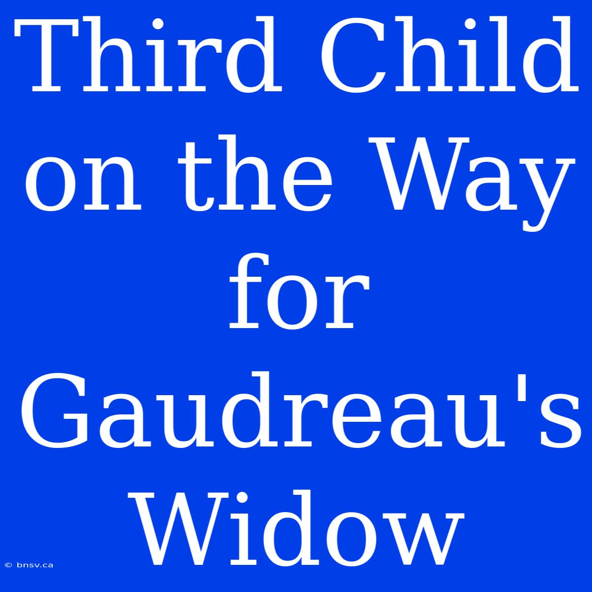 Third Child On The Way For Gaudreau's Widow