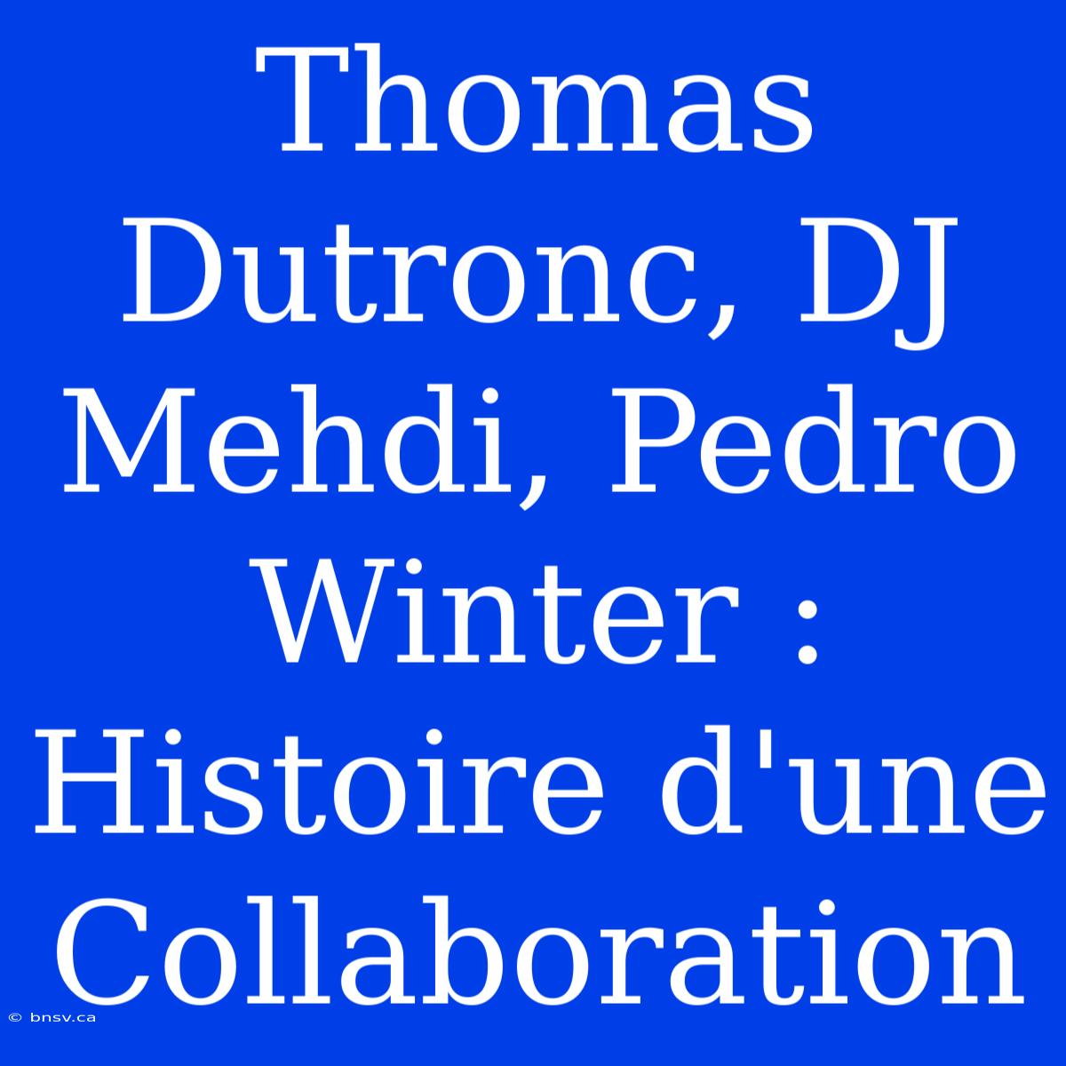 Thomas Dutronc, DJ Mehdi, Pedro Winter : Histoire D'une Collaboration