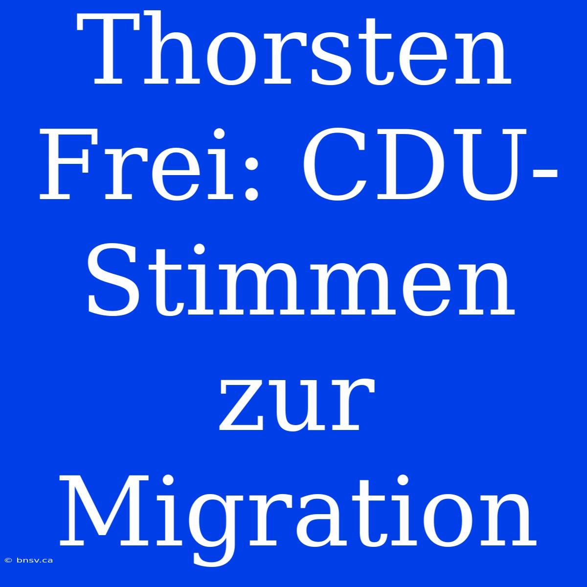 Thorsten Frei: CDU-Stimmen Zur Migration