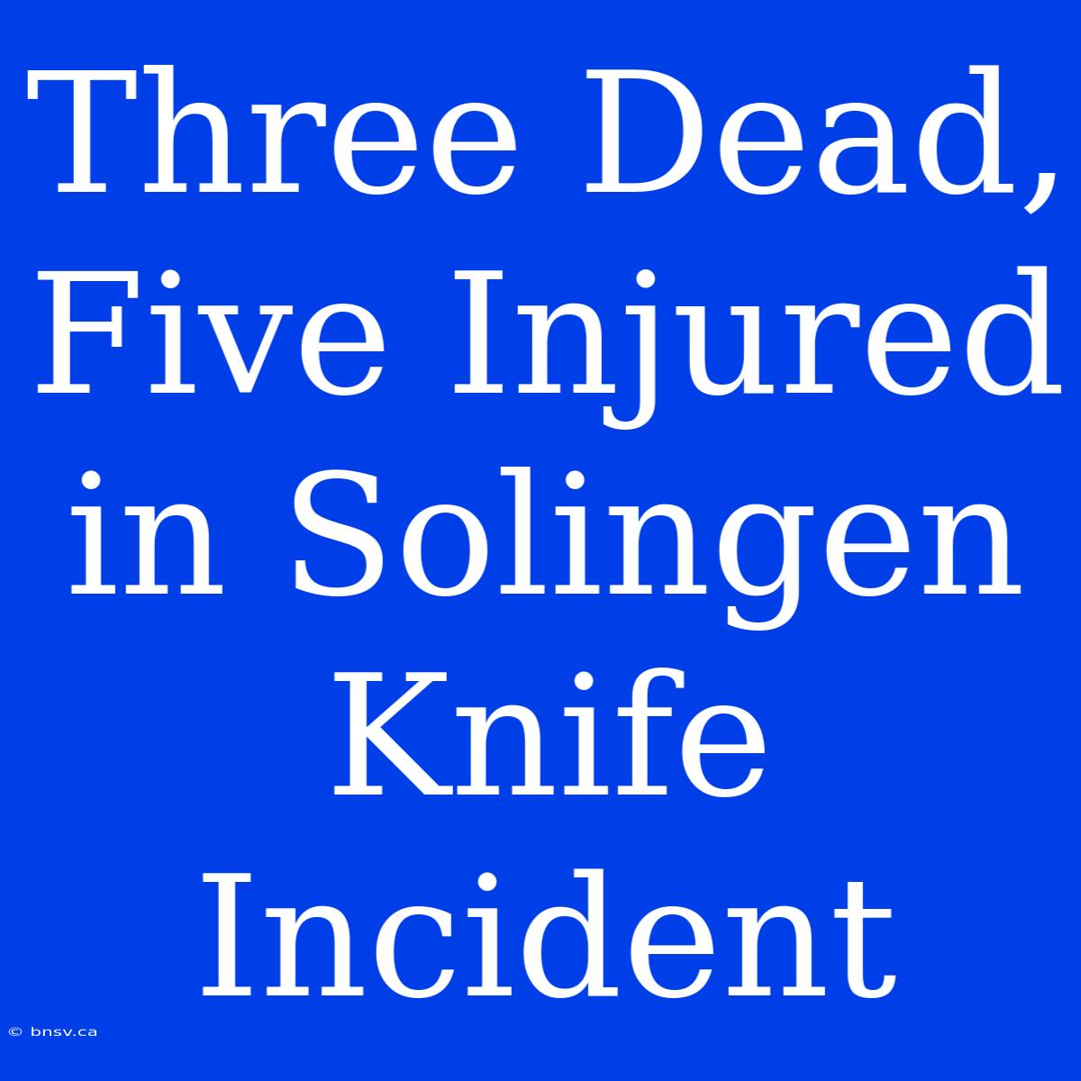 Three Dead, Five Injured In Solingen Knife Incident