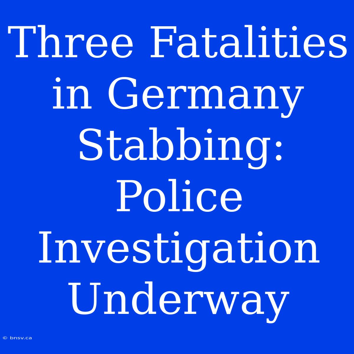 Three Fatalities In Germany Stabbing: Police Investigation Underway