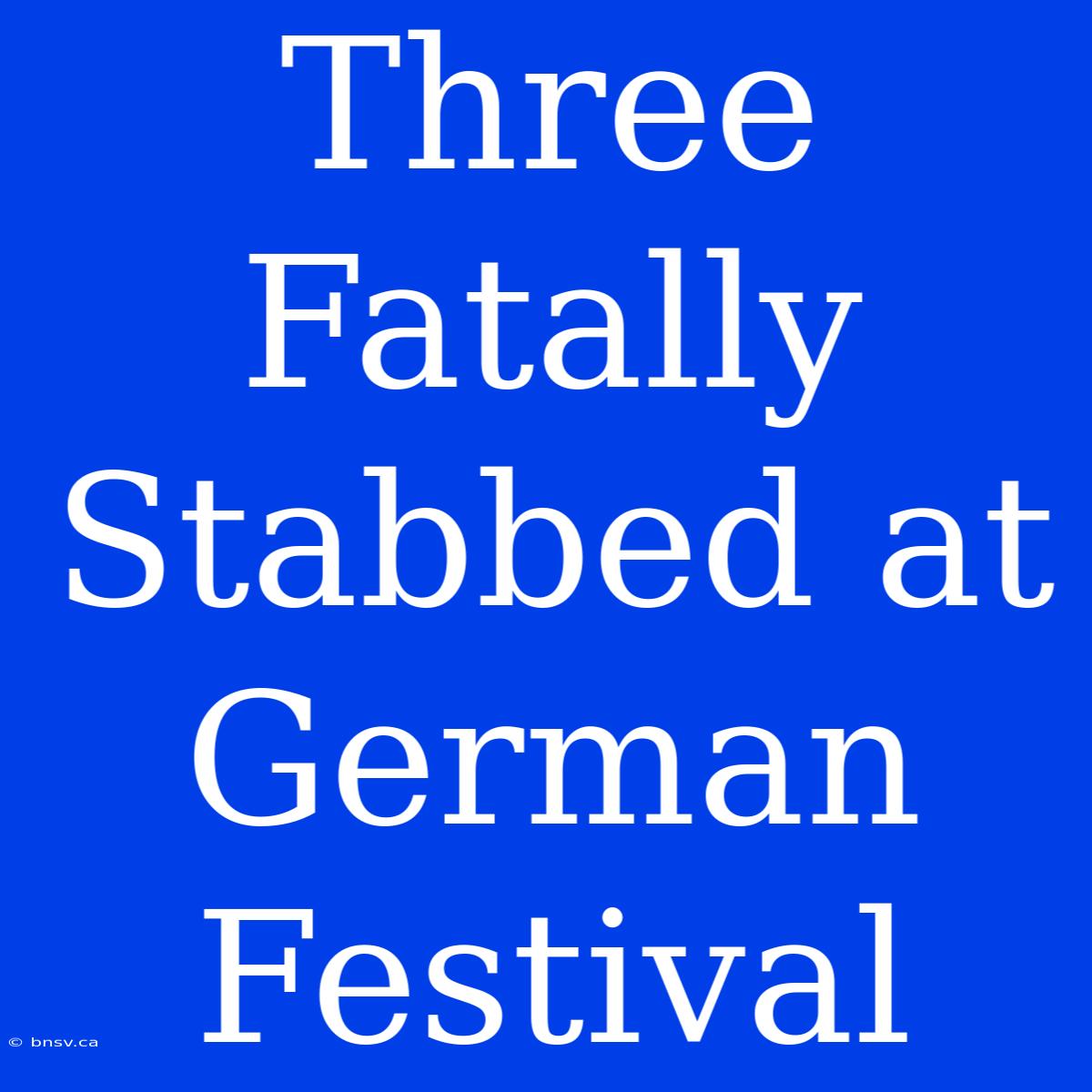 Three Fatally Stabbed At German Festival