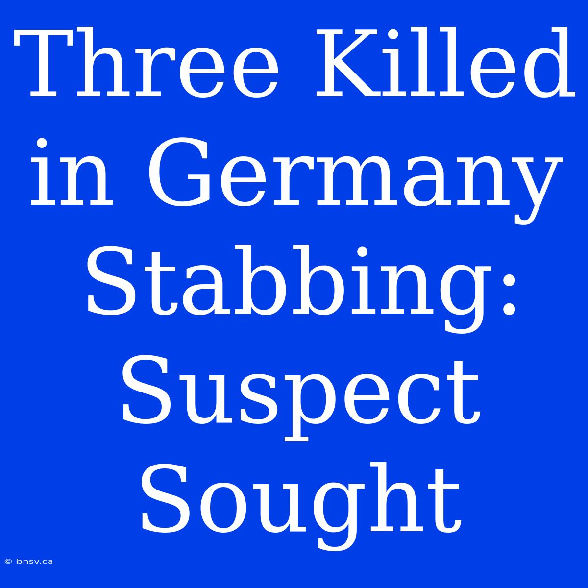 Three Killed In Germany Stabbing: Suspect Sought