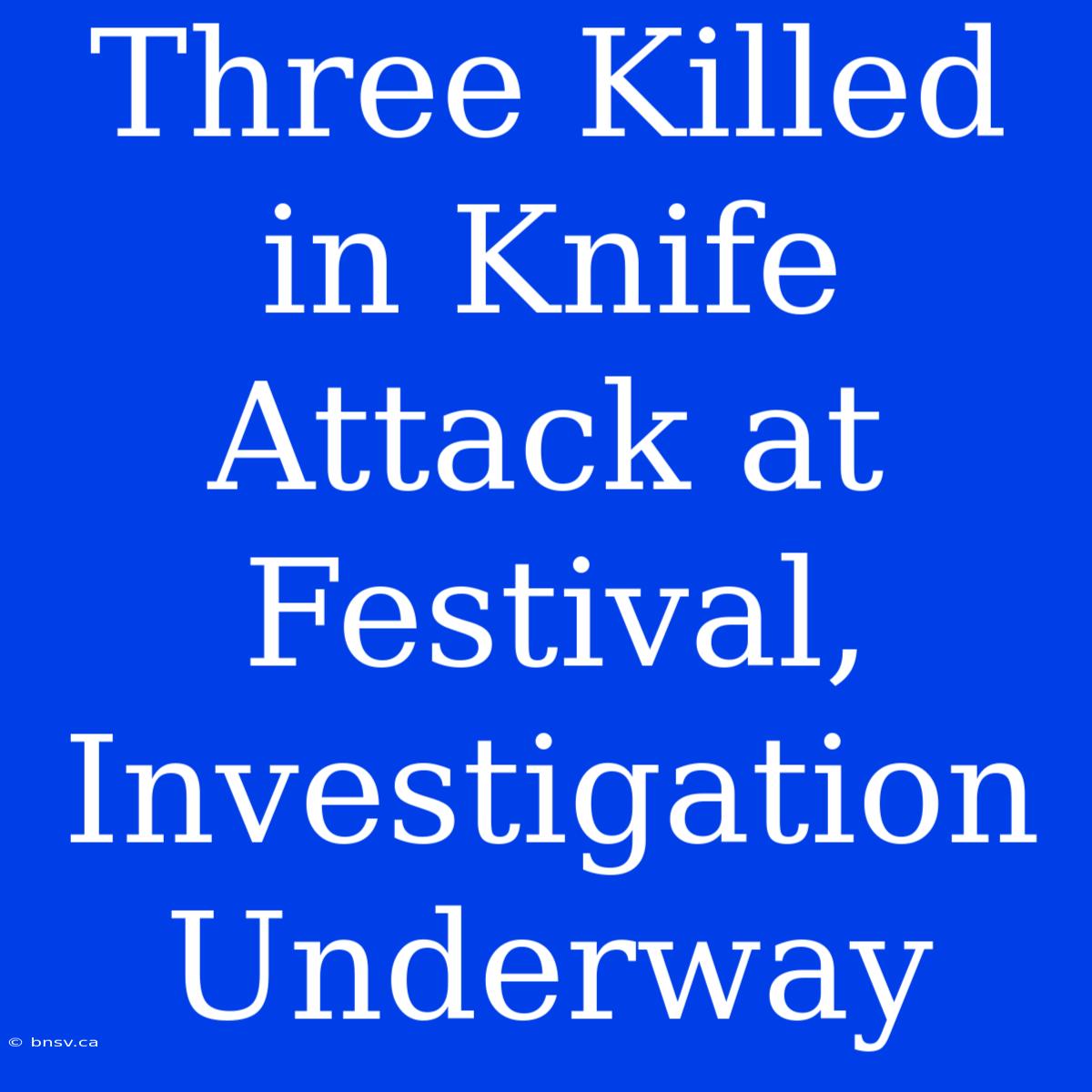 Three Killed In Knife Attack At Festival, Investigation Underway