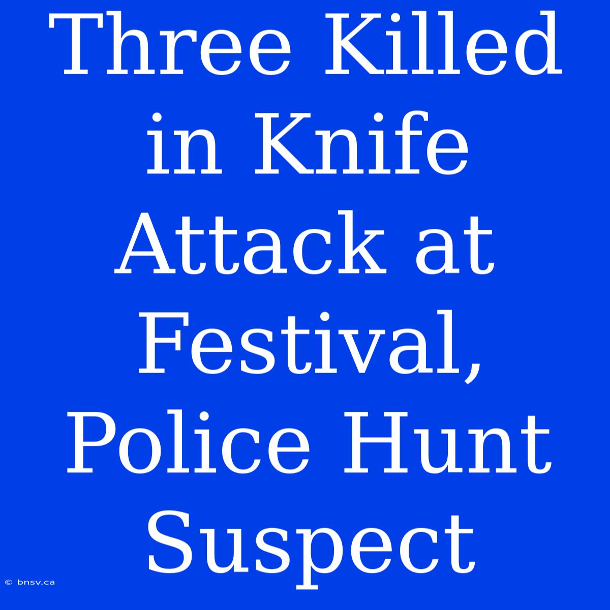 Three Killed In Knife Attack At Festival, Police Hunt Suspect