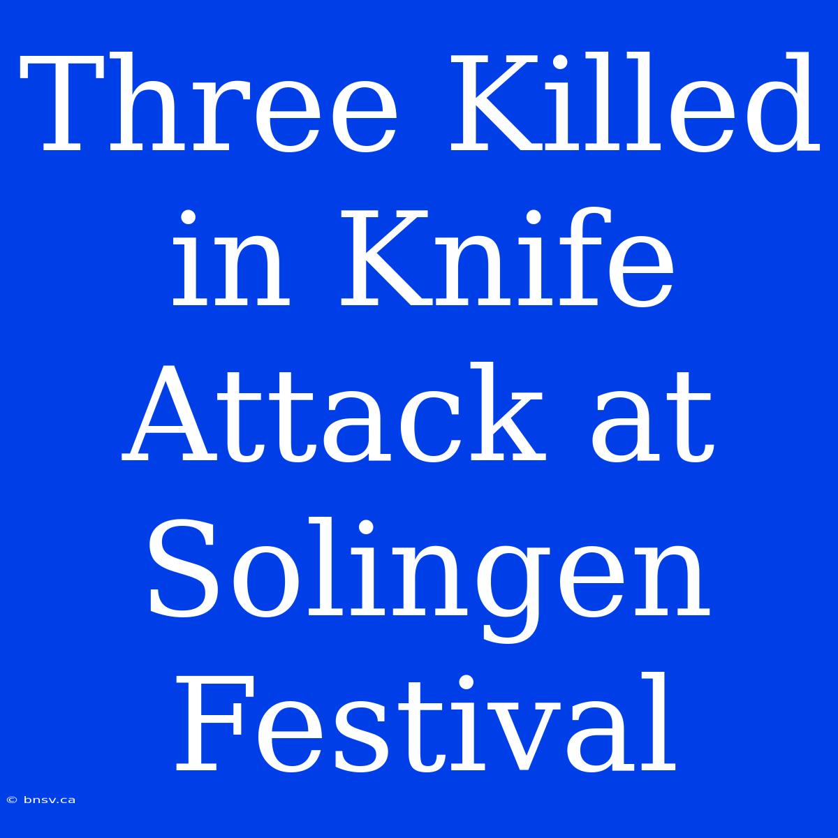 Three Killed In Knife Attack At Solingen Festival