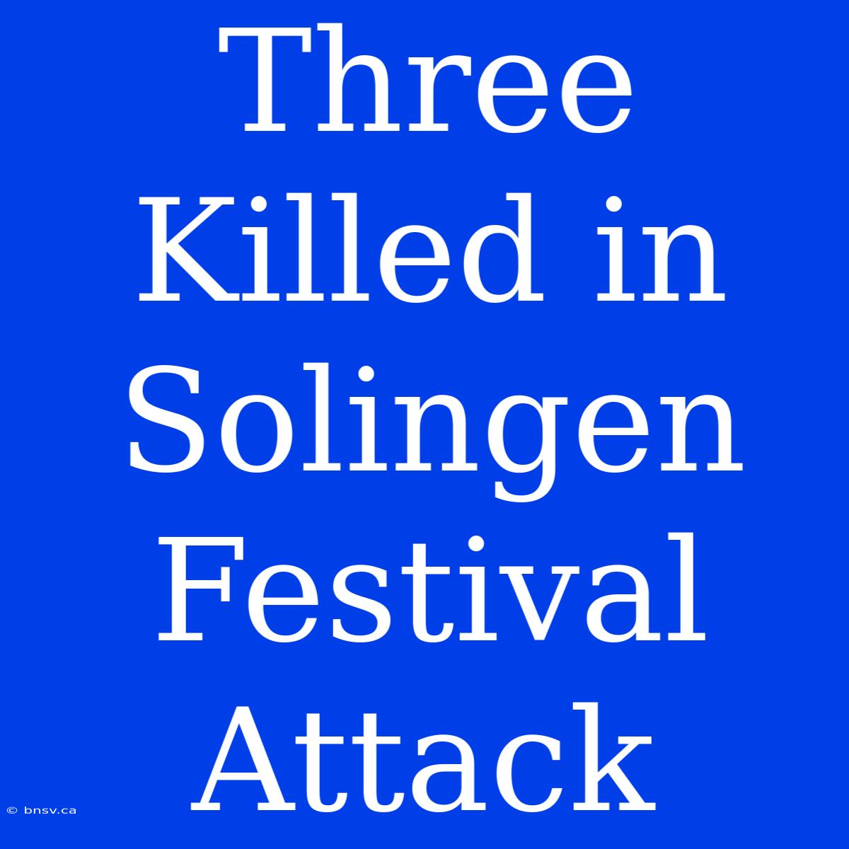 Three Killed In Solingen Festival Attack