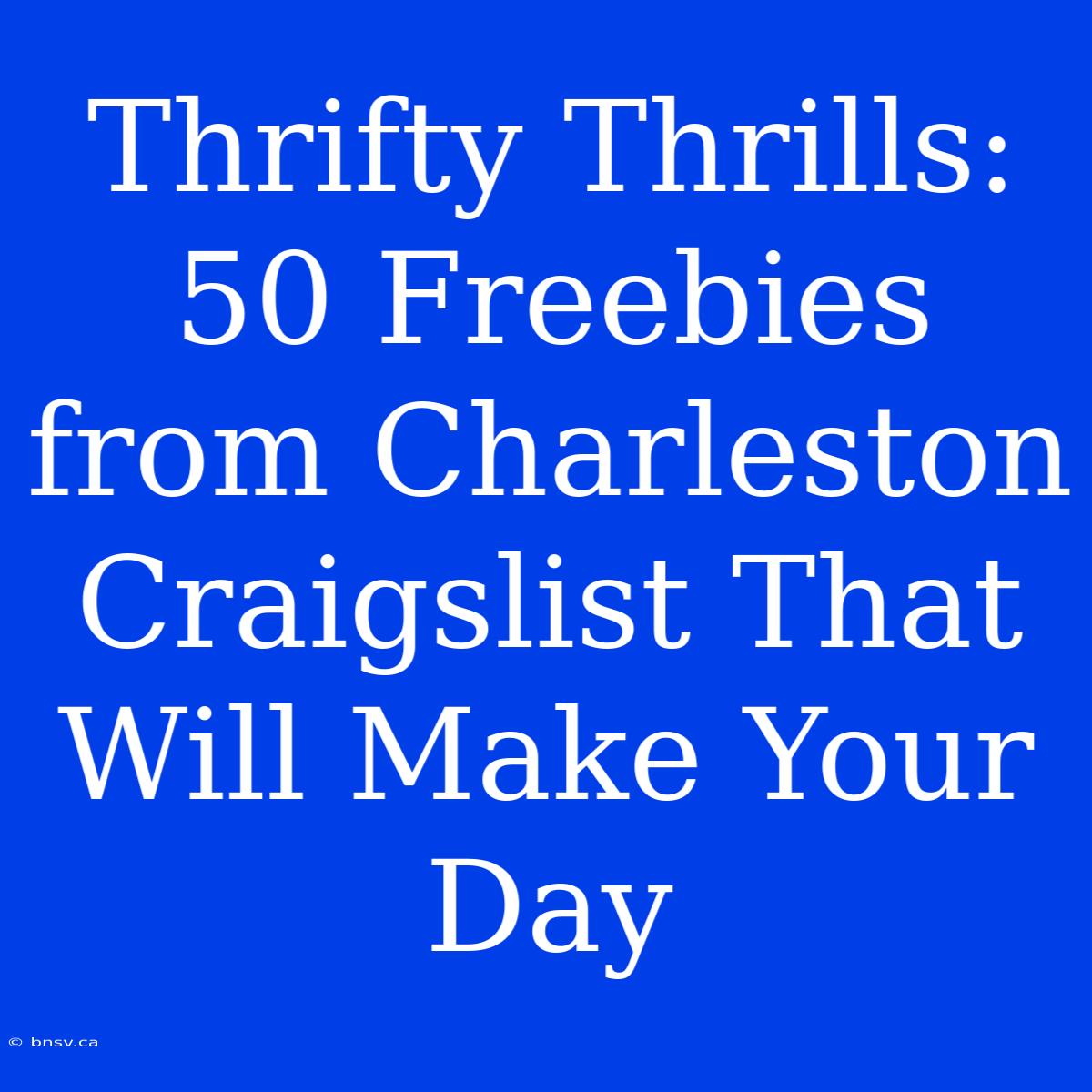 Thrifty Thrills: 50 Freebies From Charleston Craigslist That Will Make Your Day