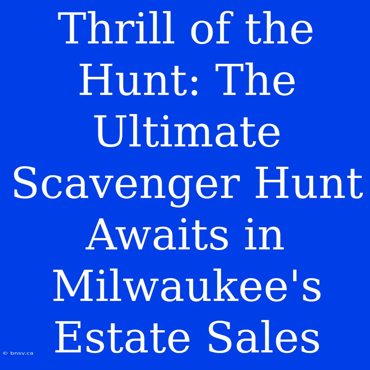 Thrill Of The Hunt: The Ultimate Scavenger Hunt Awaits In Milwaukee's Estate Sales