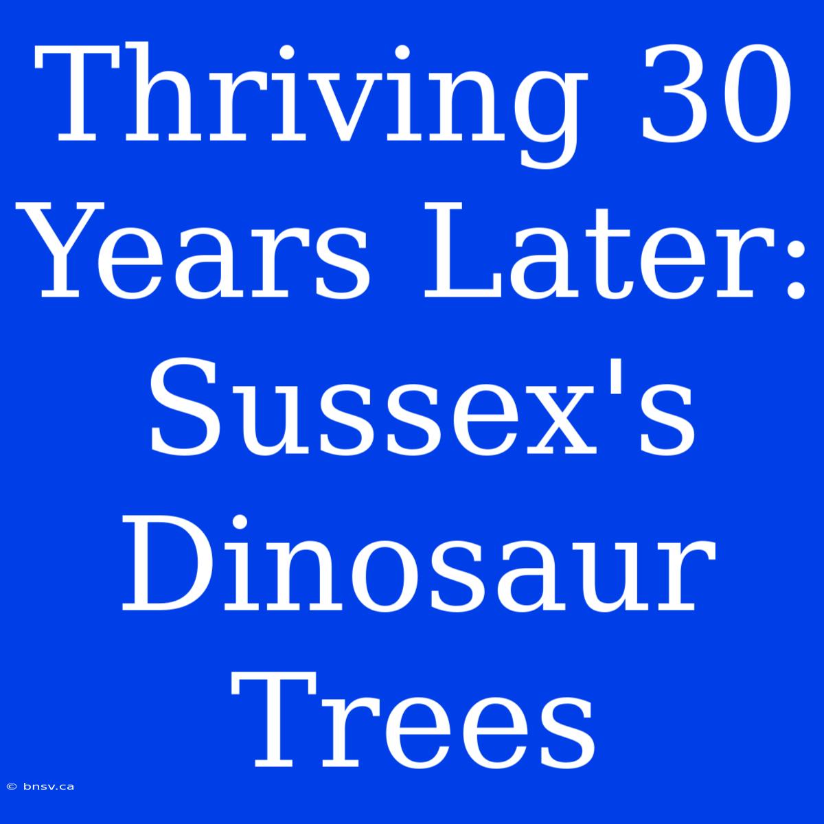 Thriving 30 Years Later: Sussex's Dinosaur Trees