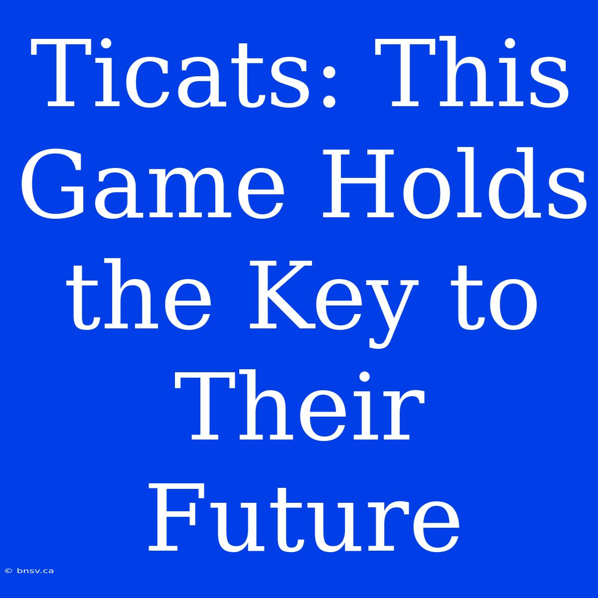 Ticats: This Game Holds The Key To Their Future