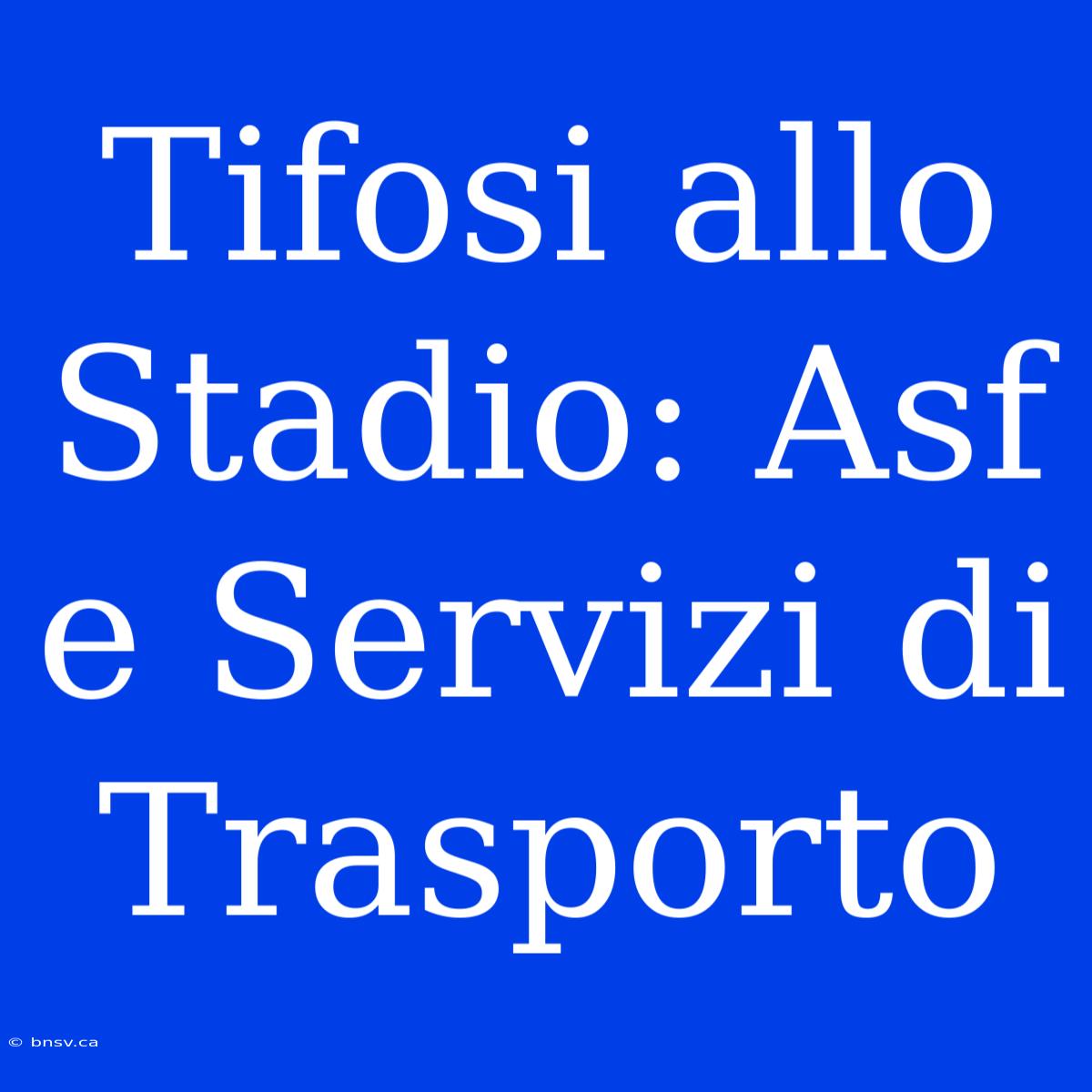 Tifosi Allo Stadio: Asf E Servizi Di Trasporto