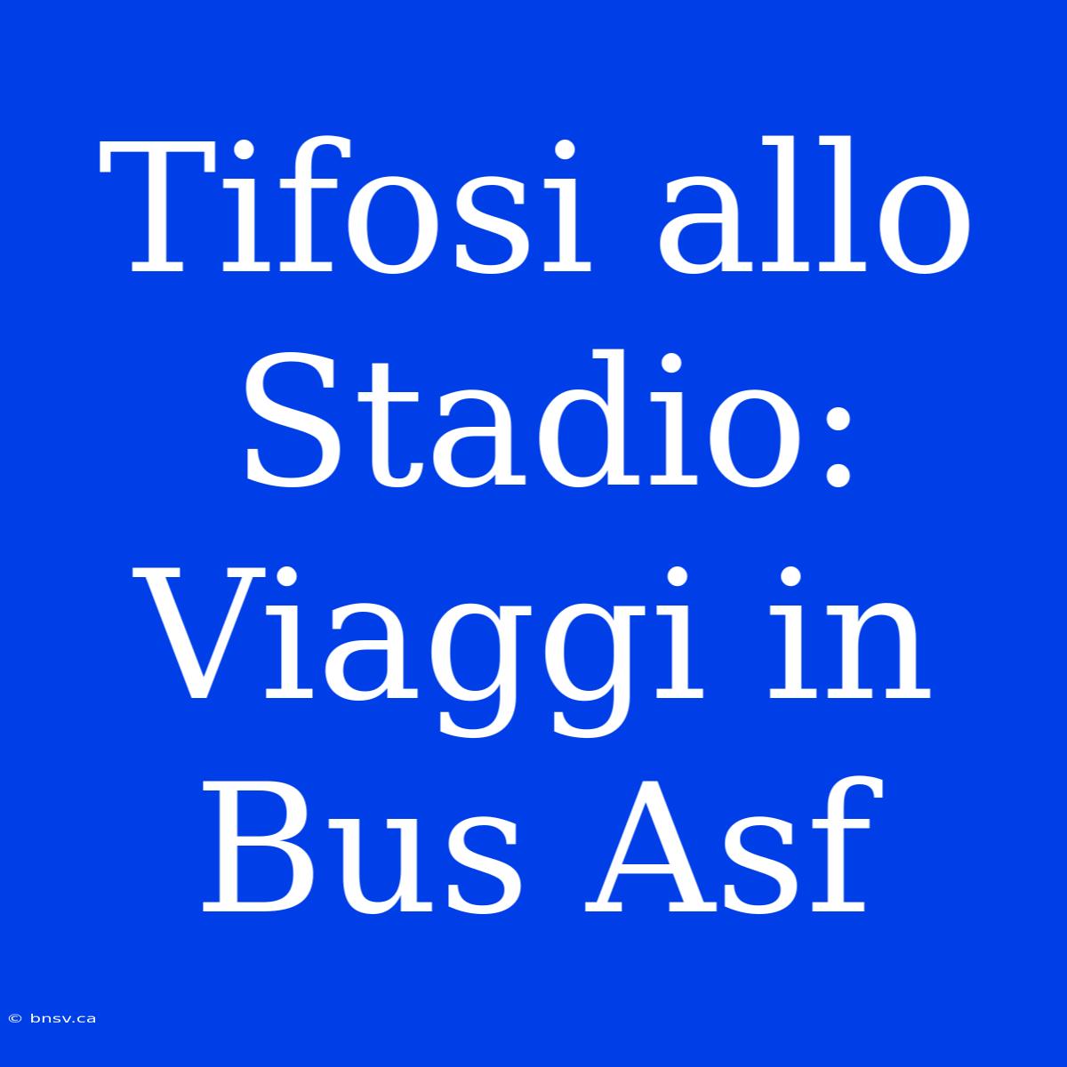 Tifosi Allo Stadio: Viaggi In Bus Asf