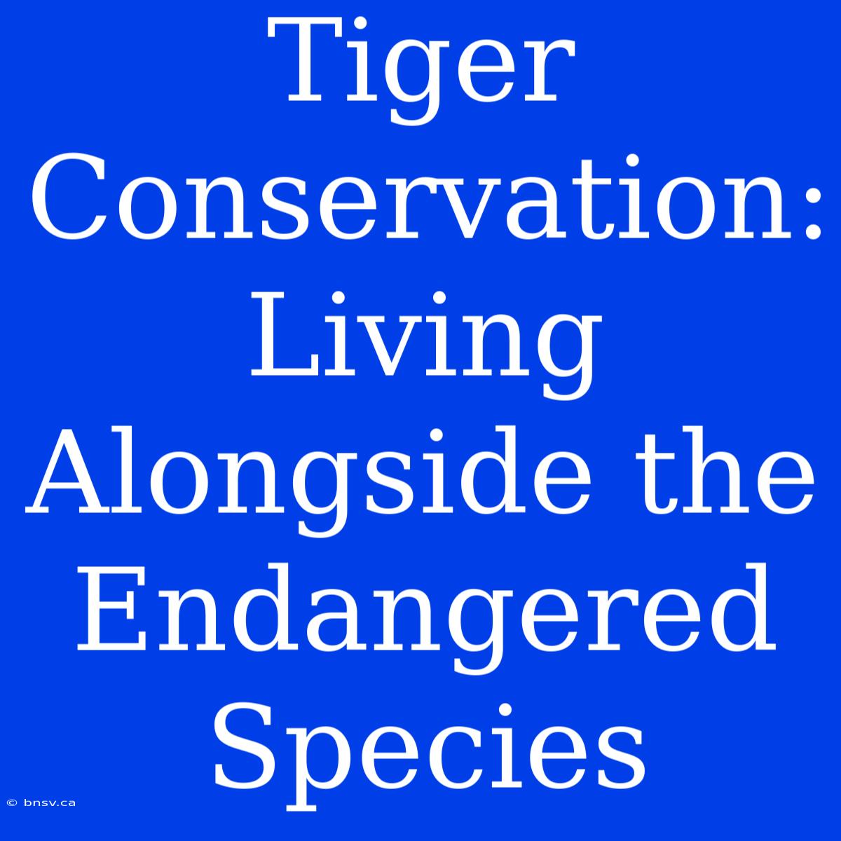 Tiger Conservation: Living Alongside The Endangered Species