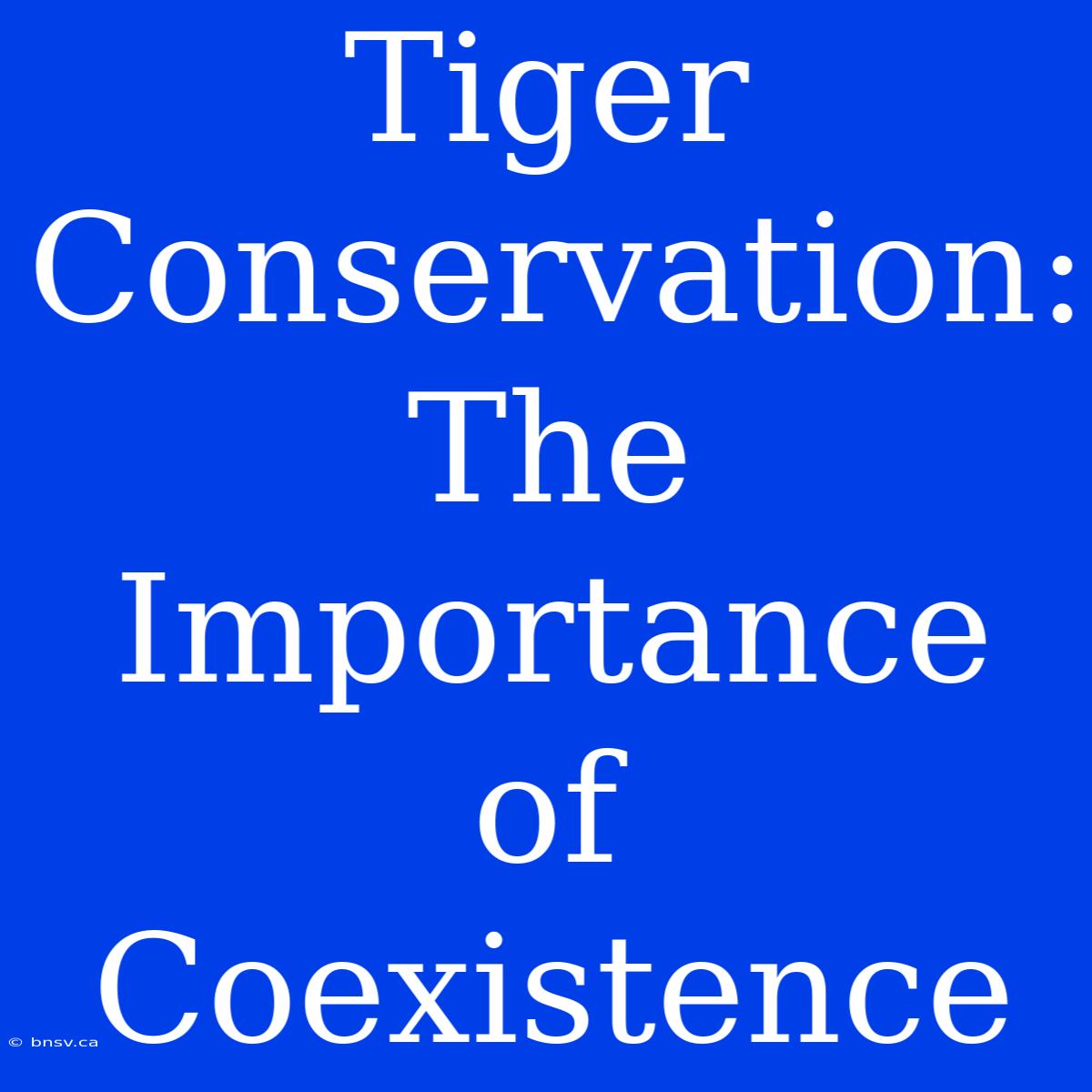 Tiger Conservation: The Importance Of Coexistence