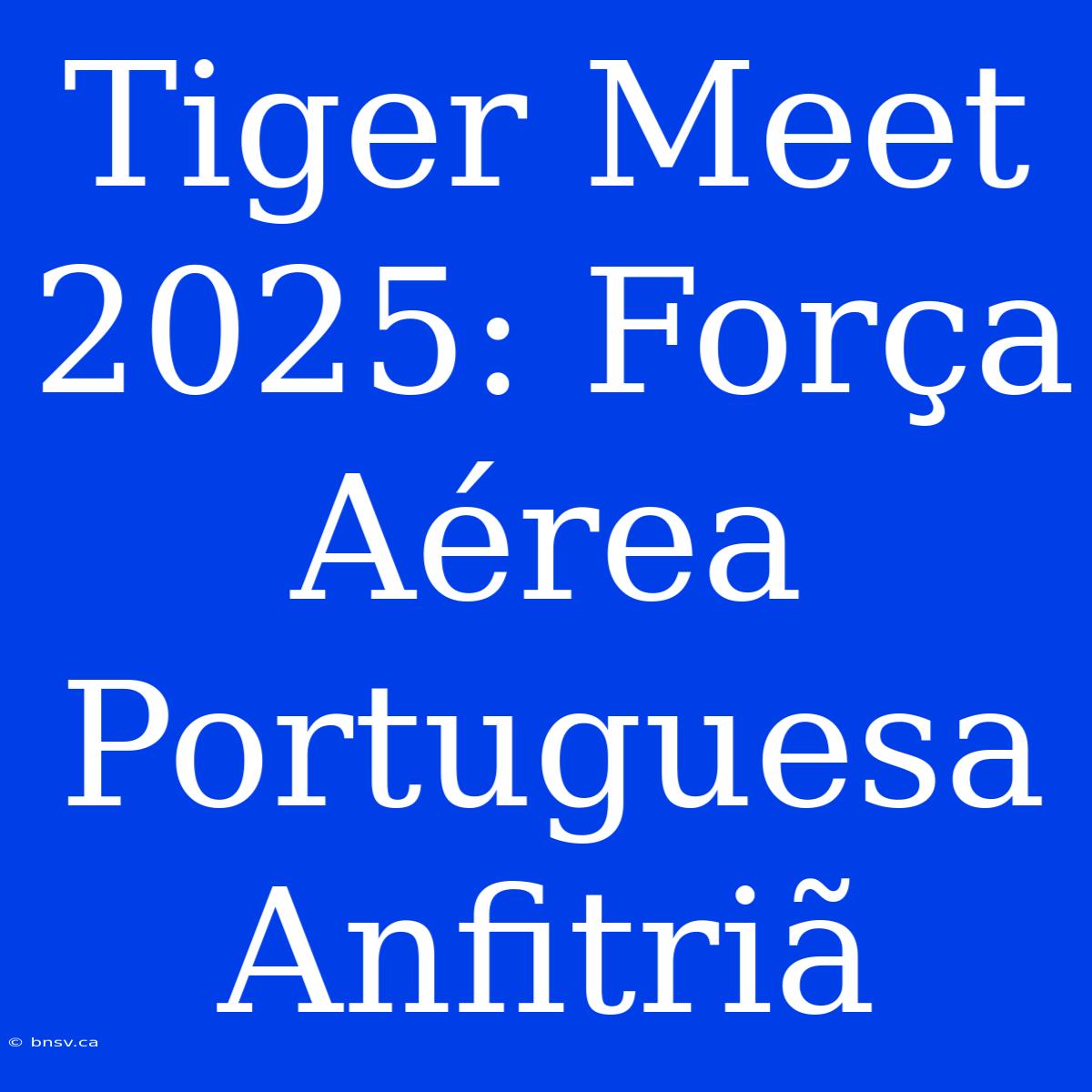 Tiger Meet 2025: Força Aérea Portuguesa Anfitriã